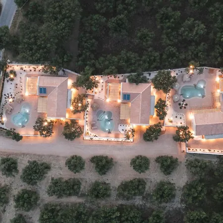 Nono's Fioro Premium Houses, By Tk Management